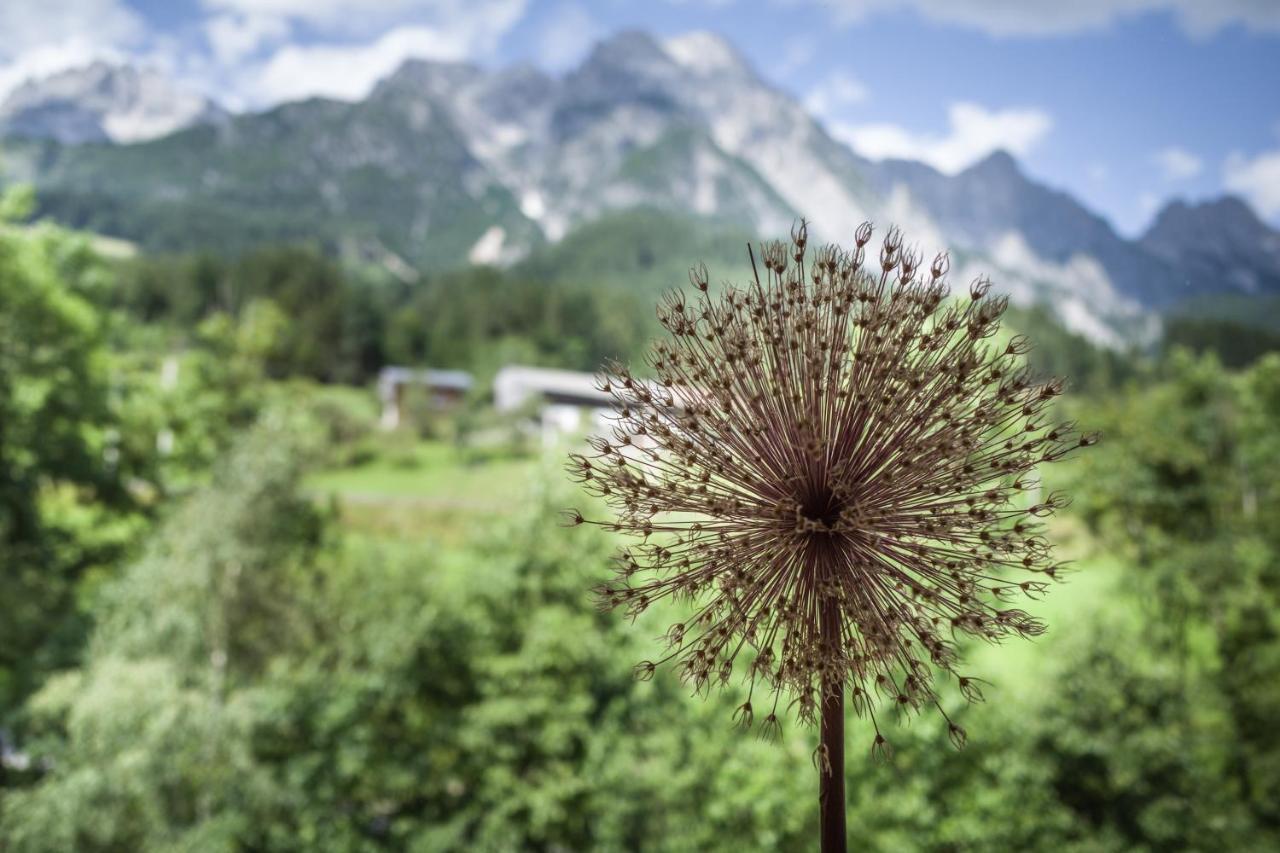 Ferienpension Bierbaumer Leogang Esterno foto